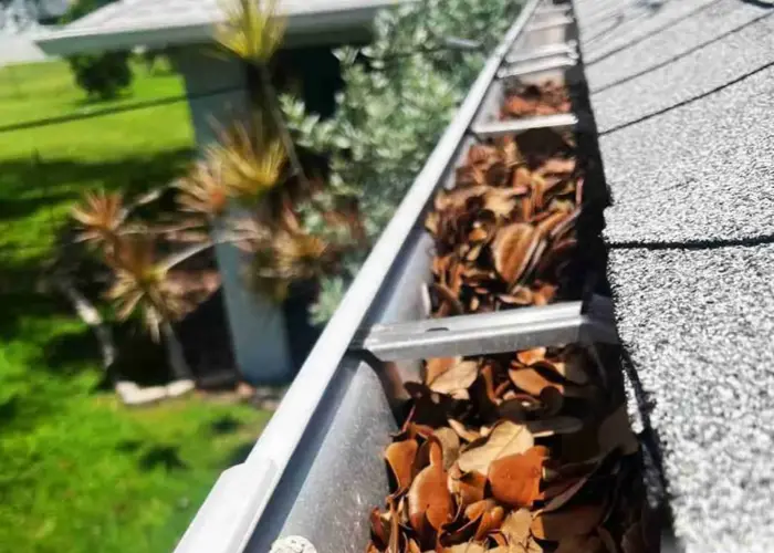 East Highland Park gutter cleaning home page